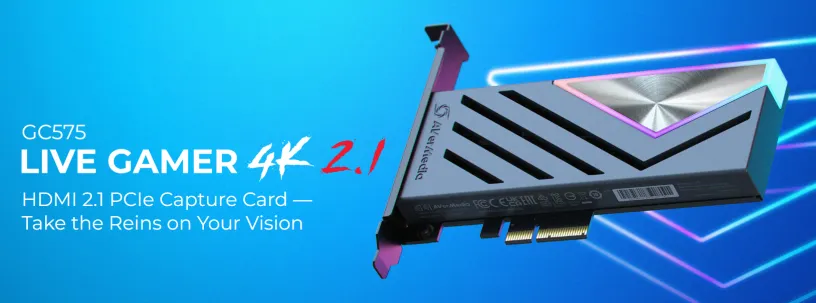 AVerMedia Live Gamer 4K 2.1 (GC575)
