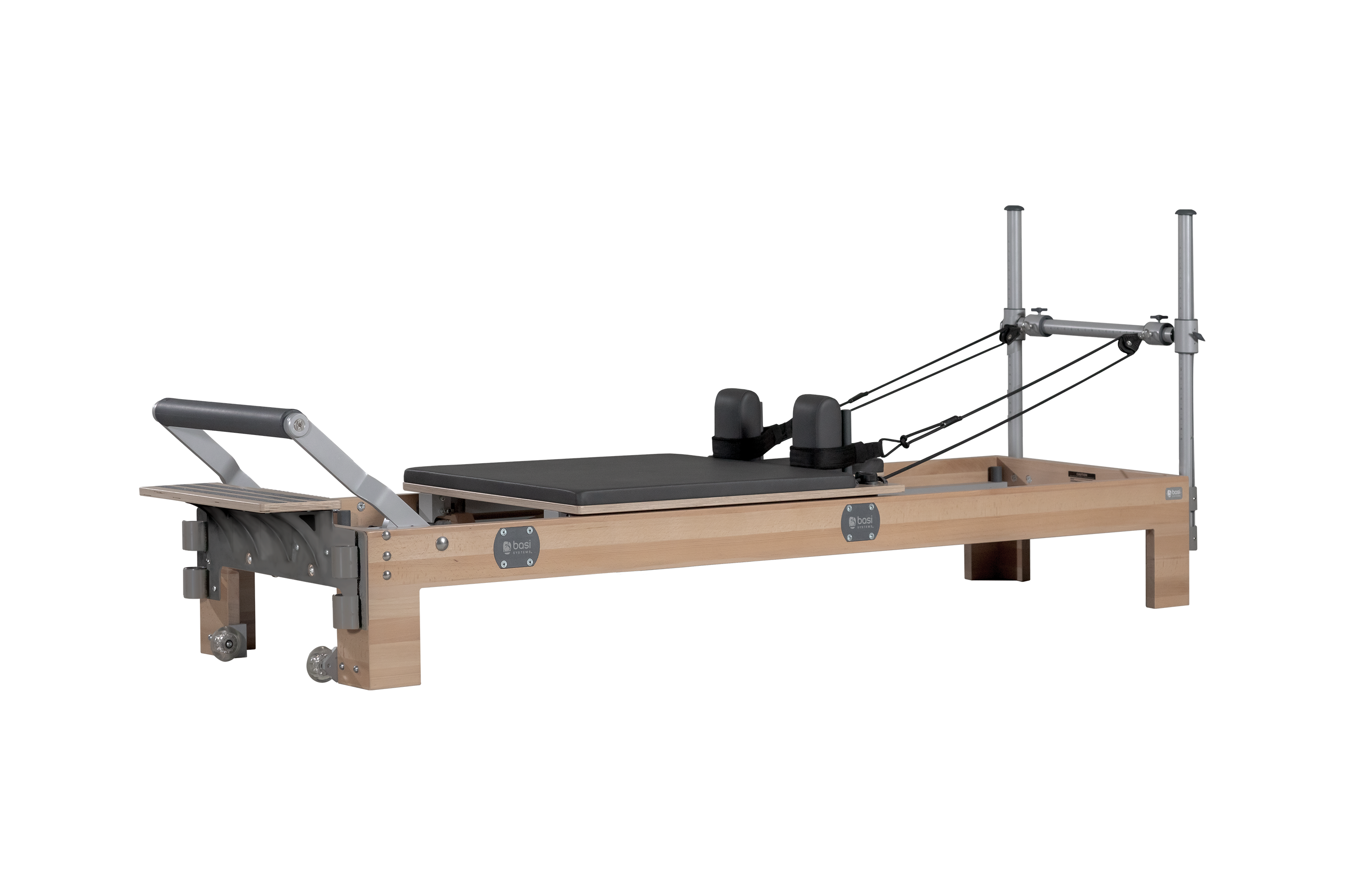 BASI Systems Reformer