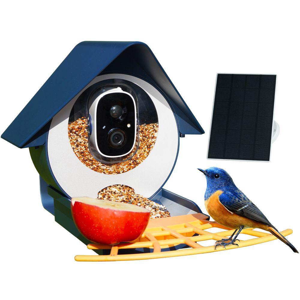 Birdkiss Smart Bird Feeder
