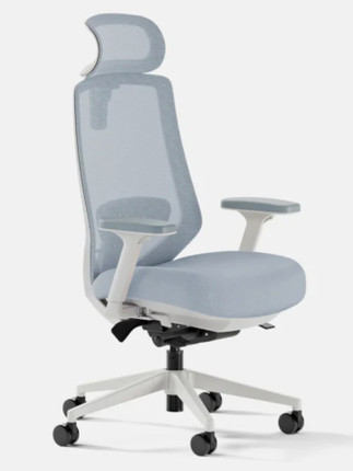 Ergonomic Chair Pro