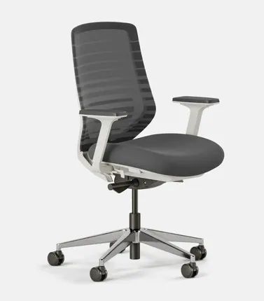 Branch Ergonomic Chair
