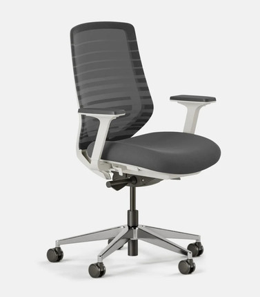 Branch Ergonomic Chair
