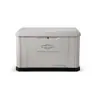 Briggs & Stratton PowerProtect DX 26kW