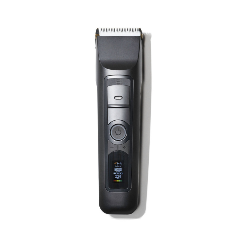 Brio Beardscape V2