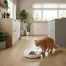Cat Mate C500 Digital 5-Meal Feeder