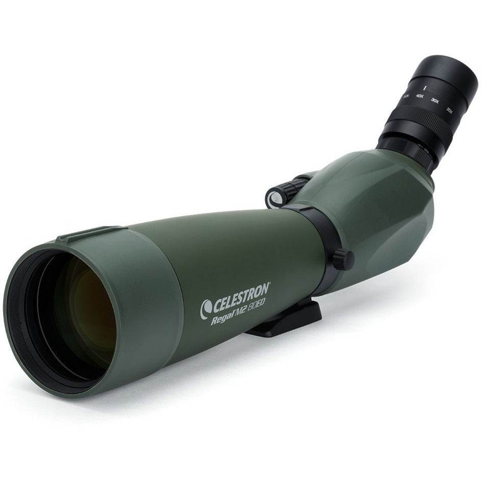 Celestron Regal M2 20-60x80 ED
