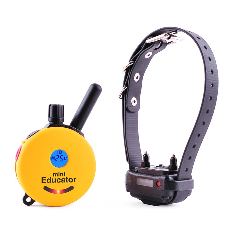 Educator ET-300 Mini Educator