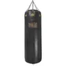 Everlast 1910 Pro 100lb Leather Heavy Punching Bag