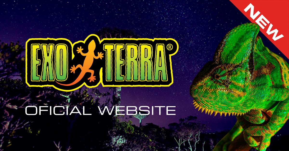 Exo Terra Large Glass Terrarium 18x18x24 in (PT2612)