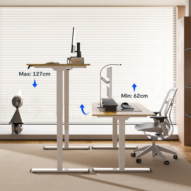 FlexiSpot E5 Standing Desk