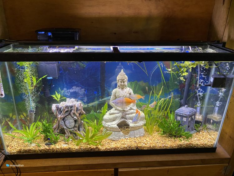 Fluval Plant 3.0 Bluetooth LED (32W)