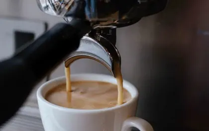 Gaggia Classic Evo Pro — Gaggia