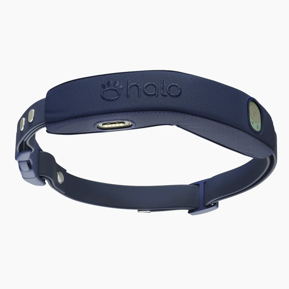 Halo Collar 4