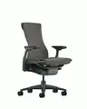 Herman Miller Embody Chair