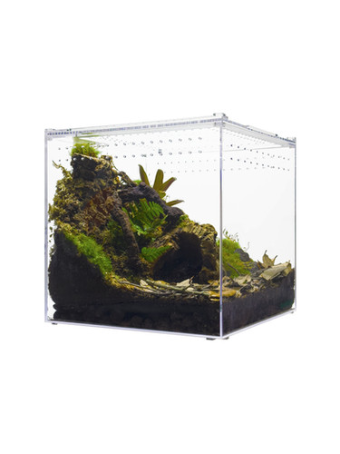 HerpCult XLarge Magnetic Acrylic Enclosure
