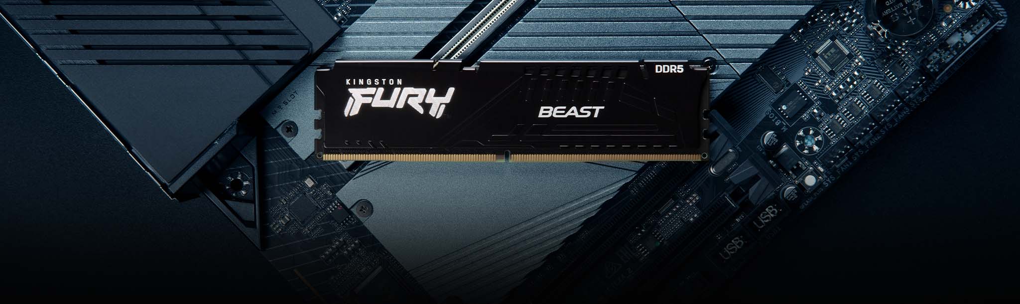 Kingston Fury Beast DDR5 32GB (2x16GB) 5600 CL40