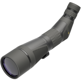 Leupold SX-4 Pro Guide HD 20-60x85mm