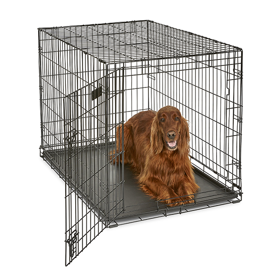 MidWest Homes for Pets iCrate Single Door Folding Dog Crate (42-inch)