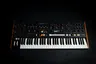 Moog Muse