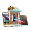 NETVUE Birdfy AI