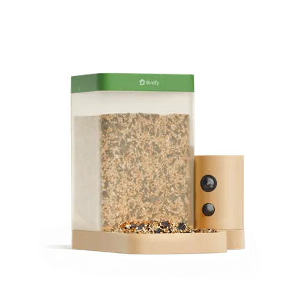 NETVUE Birdfy Feeder Rookie — NETVUE