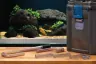 OASE BioMaster Thermo 850 Canister Filter