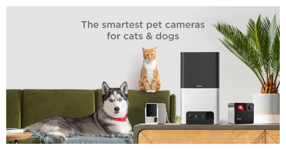 Petcube Cam