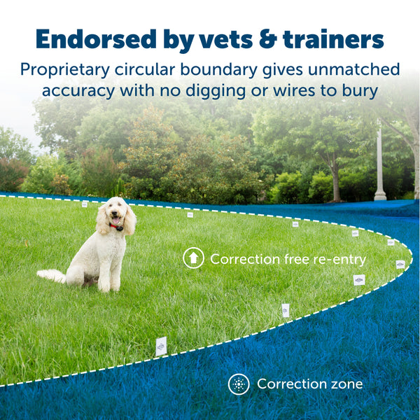 PetSafe Wireless Pet Containment System (PIF-300)