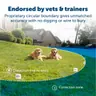 PetSafe Stay & Play Compact Wireless Fence (PIF00-12917)