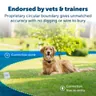 PetSafe Stay & Play Wireless Fence with Replaceable Battery Collar (PIF00-15001)