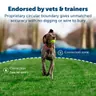 PetSafe Stay & Play Wireless Fence for Stubborn Dogs (PIF00-13663)