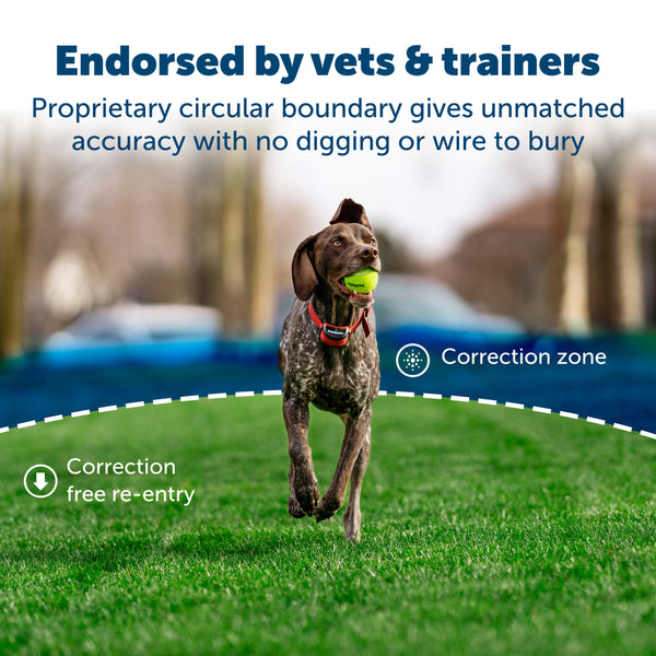 PetSafe Stay & Play Wireless Fence for Stubborn Dogs (PIF00-13663)