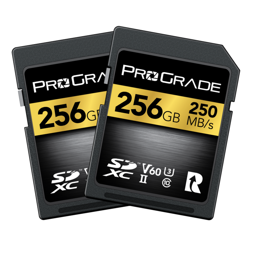 ProGrade Digital Gold SDXC UHS-II V60 256GB