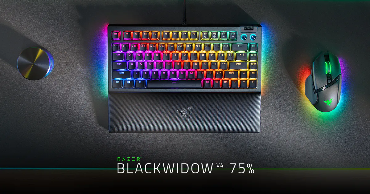 Razer BlackWidow V4 75%