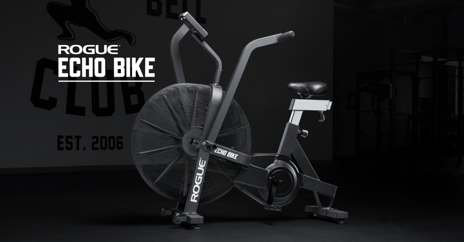 Rogue Echo Bike V3.0