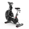 Schwinn Airdyne AD7