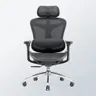 Sihoo Doro C300