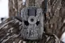 Stealth Cam Fusion X Pro