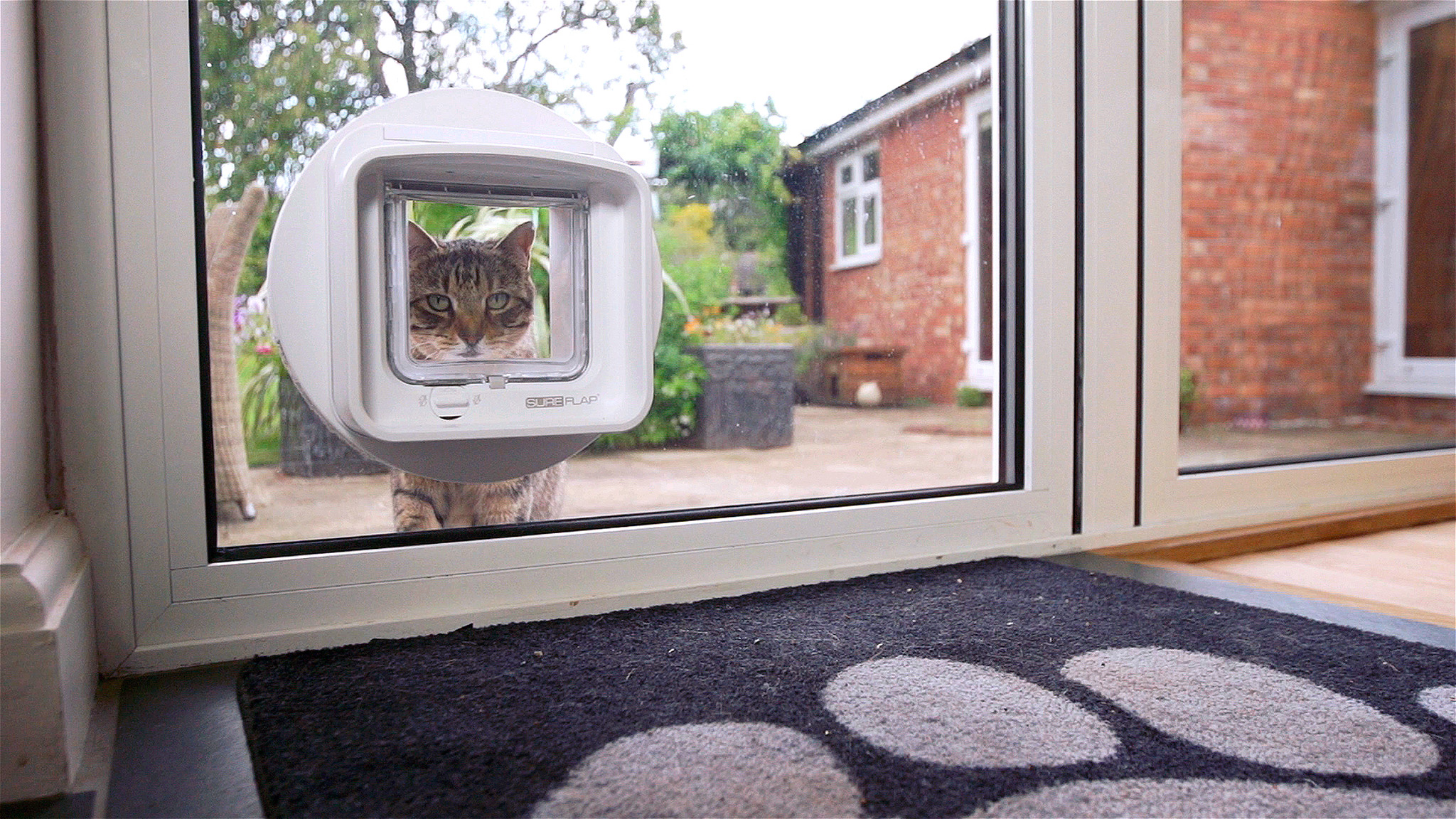 SureFlap DualScan Microchip Cat Door