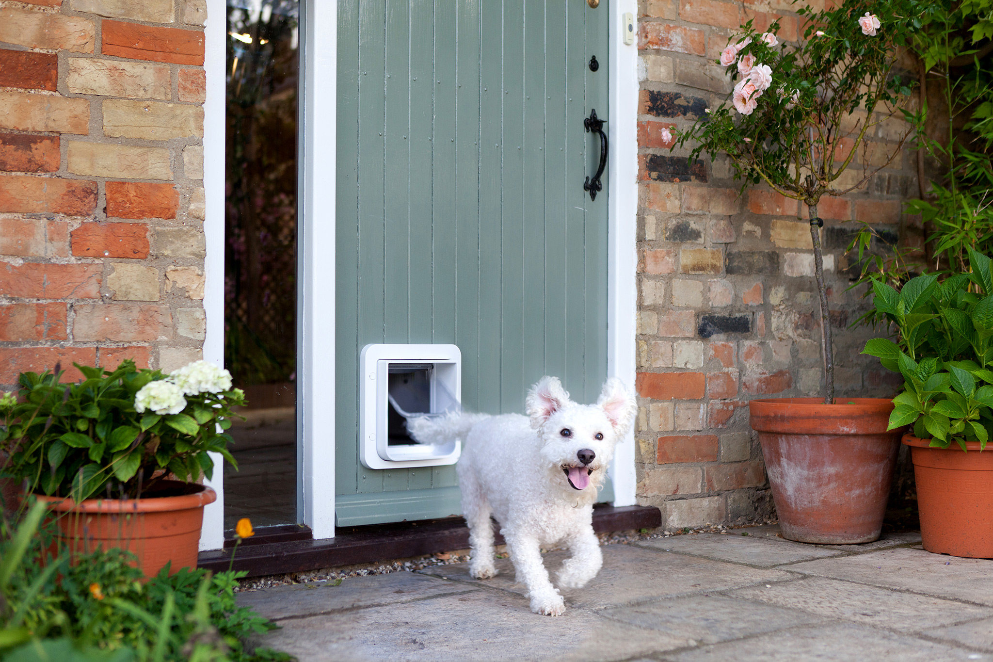 SureFlap Microchip Pet Door (Large, for Cats & Small Dogs)