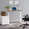 Vari Essential Electric Standing Desk