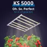 ViparSpectra KS5000