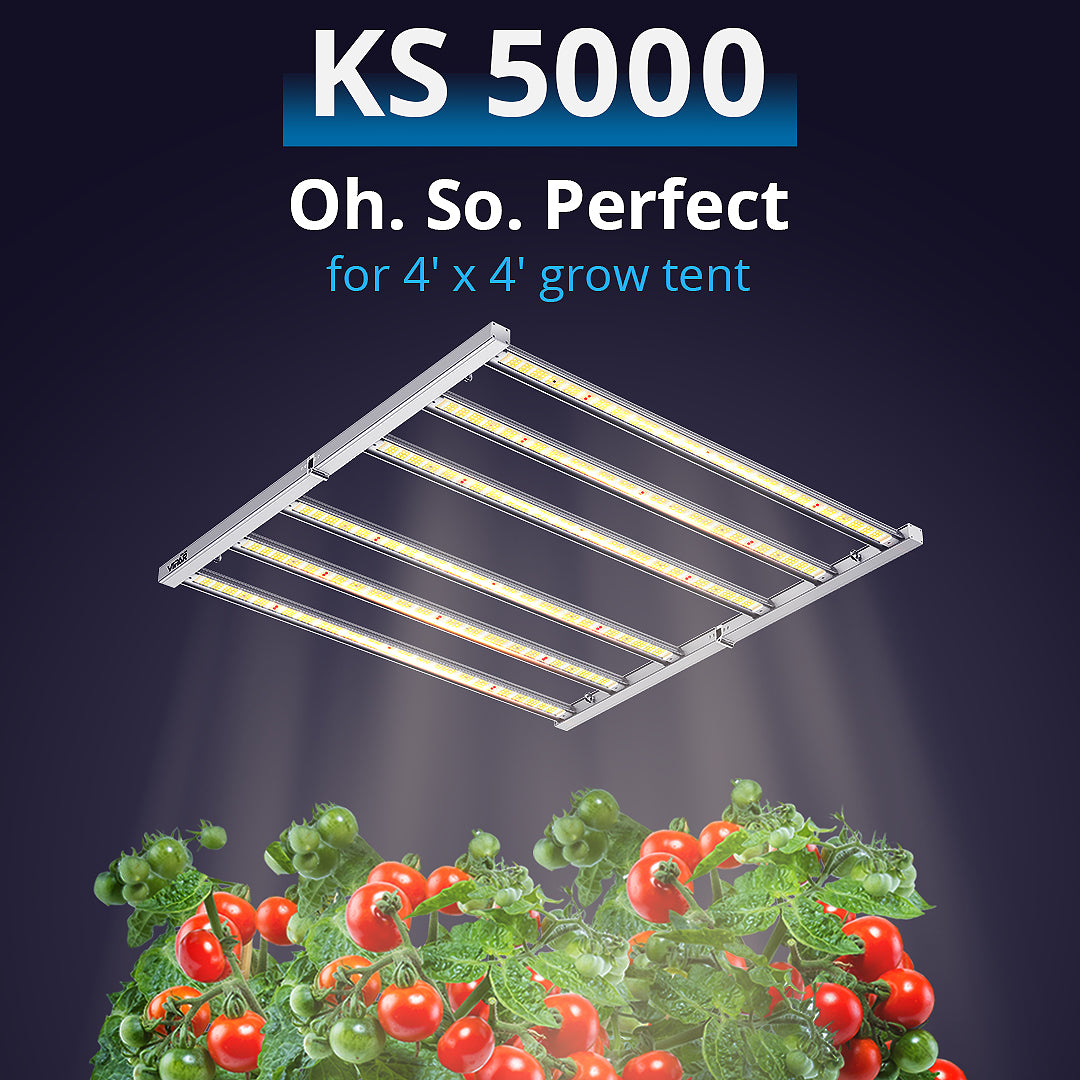 ViparSpectra KS5000