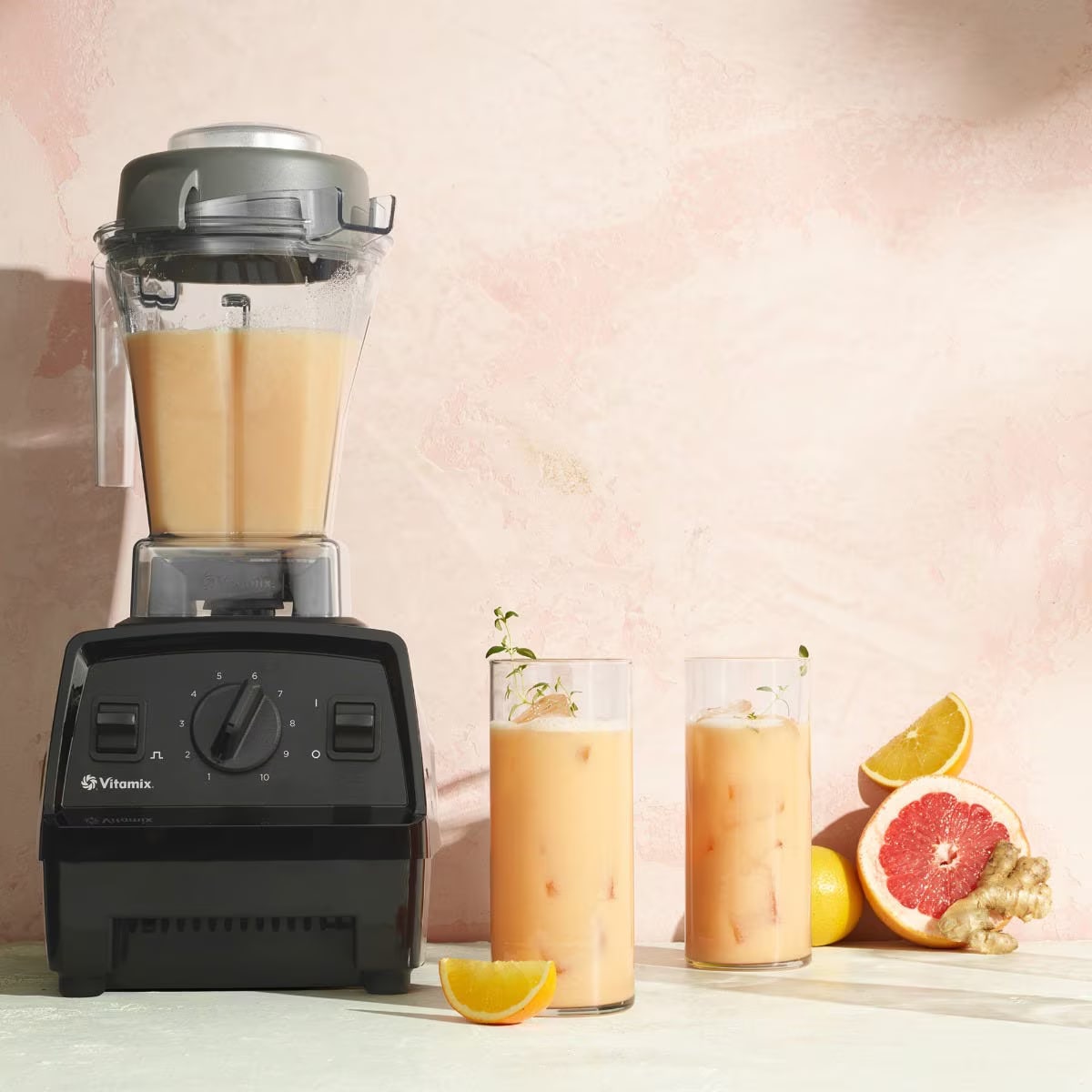 Vitamix E310 Explorian