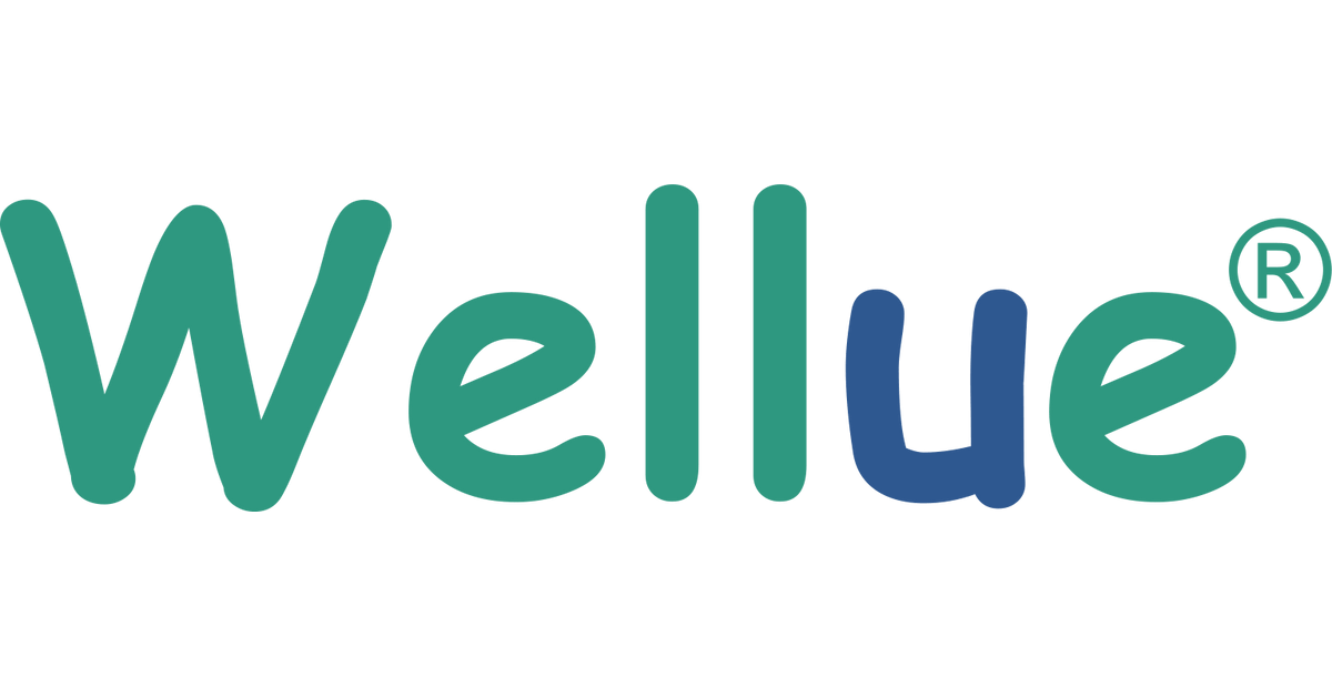 Wellue Pulsebit EX Touchscreen ECG Monitor